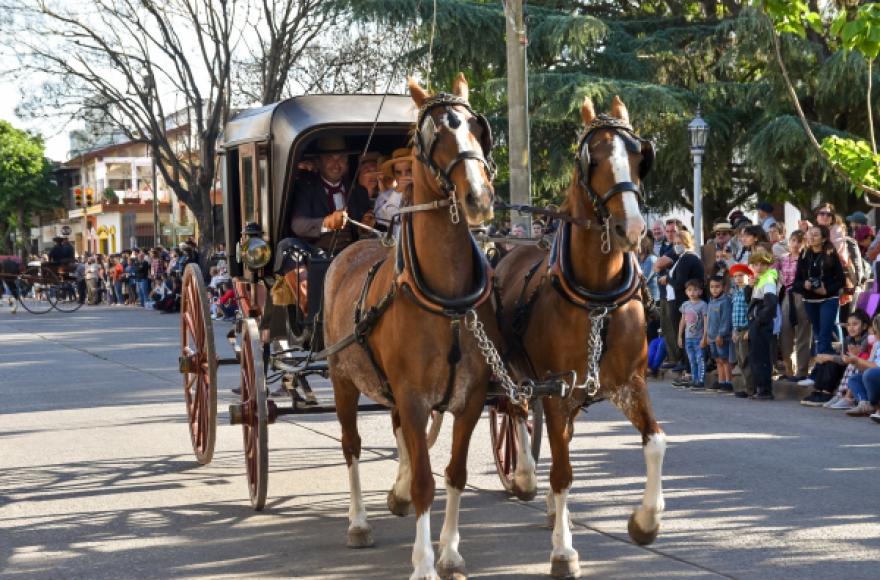 Actividades durante toda la jornada.