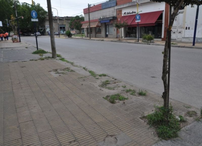 Se contempla la renovación integral de calle Libres del Sur.