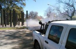 Fumigación y desratización en espacios públicos