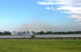 Los bomberos combatieron durante dos horas un incendio forestal