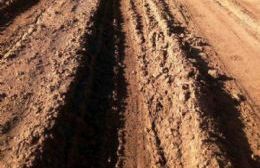 Parece ser que Placenave quiere "prohibir" el trabajo en el campo los días de lluvia