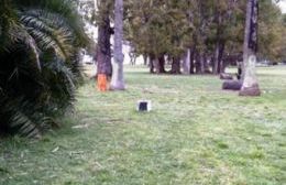Reemplazan luminarias rotas en el Parque Libres del Sur