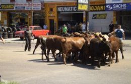 Infracciones informadas por la Patrulla Rural de General Belgrano