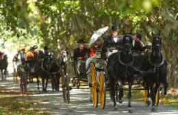 Diversas actividad en la gran fiesta del caballo y el carruaje