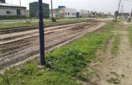 Los vecinos no salen de su asombro