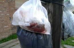 Basura en la puerta de la oficina de Bromatología