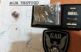 Hermanos detenidos por tenencia de marihuana