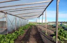 El temporal causó daños en la Huerta Agroecológica del Movimiento Evita