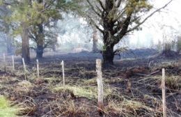 Los bomberos piden mayor precaución a los vecinos