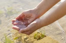 Cuidemos el agua