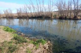 Mal funcionamiento de la planta depuradora: inquietud por posible contaminación de la laguna