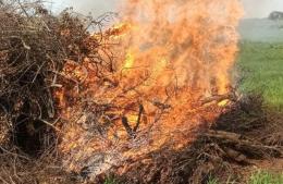 Verano sin incendios: cómo evitar riesgos para cuidar el ambiente