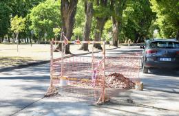 Se encuentra reducida al tránsito la calzada en Avenida Perón y Lastra