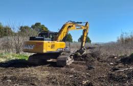 Profundizan los trabajos de limpieza y conservación de la vía pública