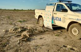 Decomisan redes de pesca no autorizada en la Laguna La Limpia